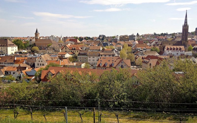 Bad Dürkheim rooftops and church spire above the vineyards seen from the Vigilienturm