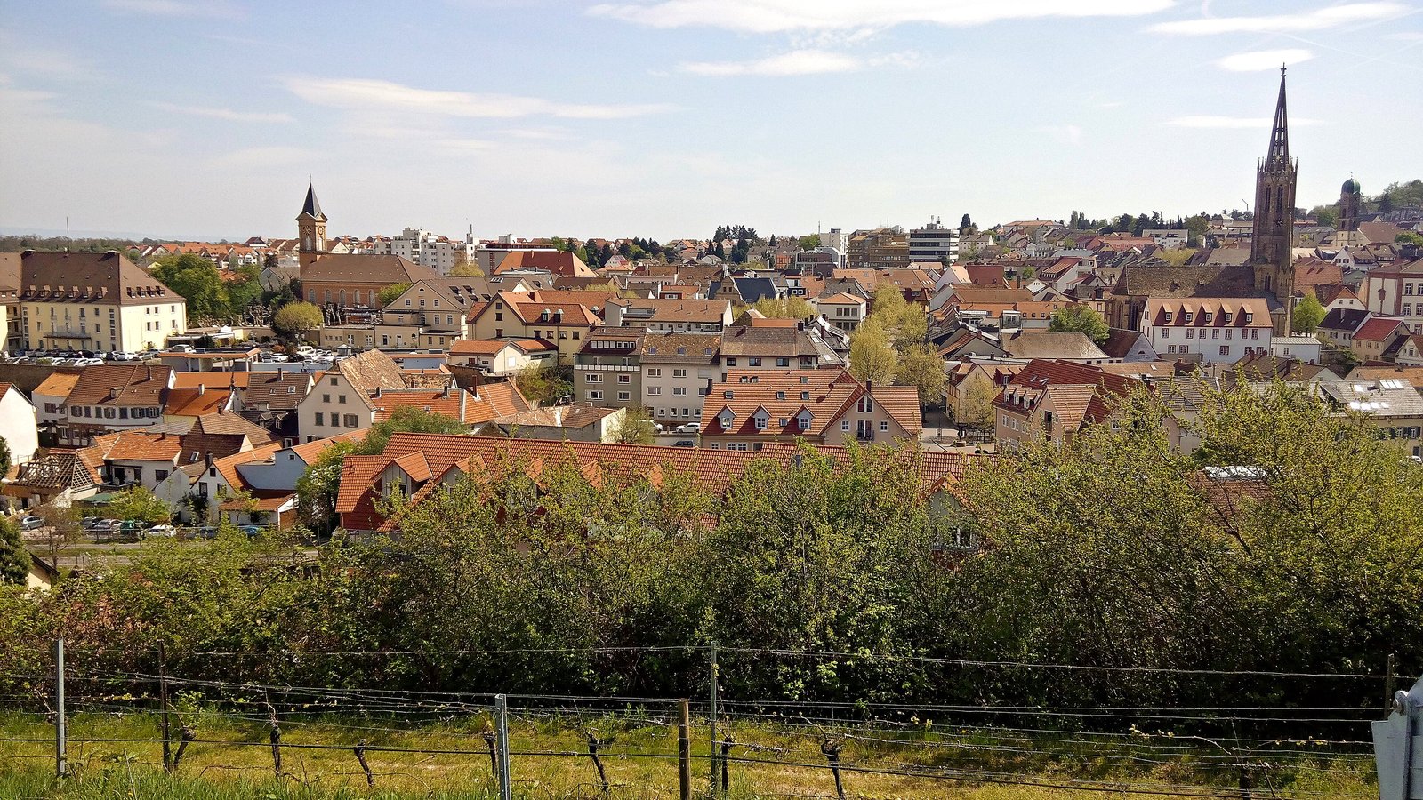 Bad Dürkheim rooftops and church spire above the vineyards seen from the Vigilienturm