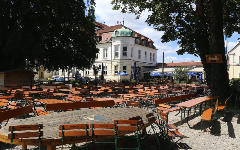 Rows of wooden tables and benches under chestnut trees in a Bavarian beer garden