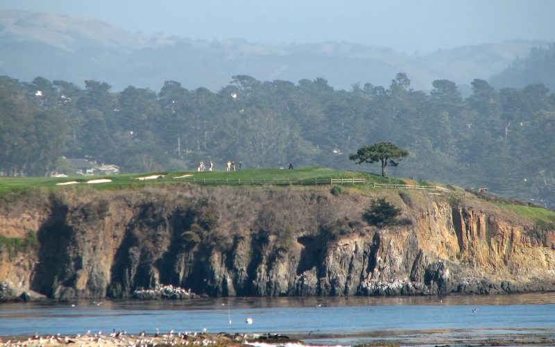 Cliff and cypress trees along the Pebble Beach coastline