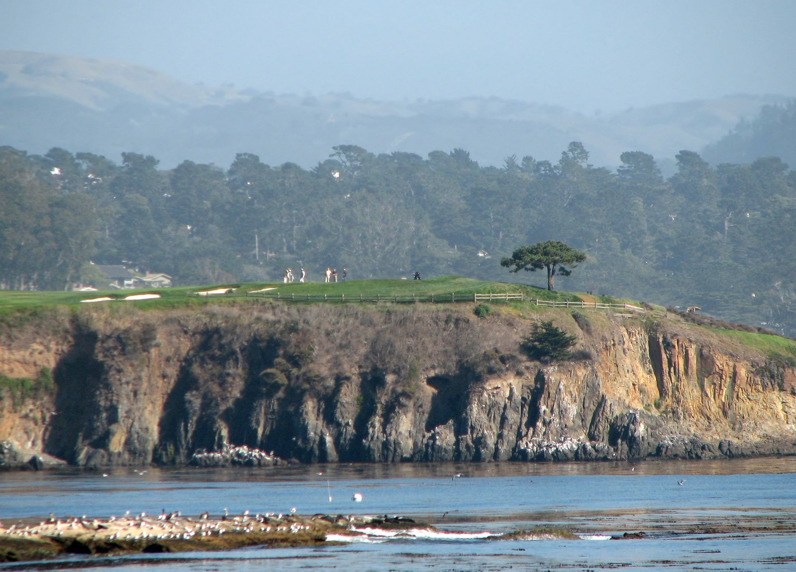 Cliff and cypress trees along the Pebble Beach coastline