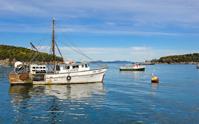 Fishing boat moored in Bar Harbor, Maine, on a clear day