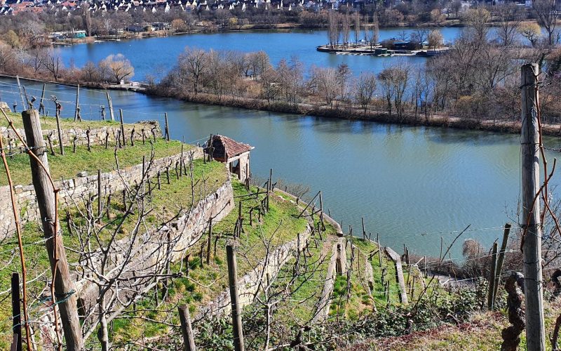 Terraced vineyards above the Neckar river on the Stuttgart wine trail