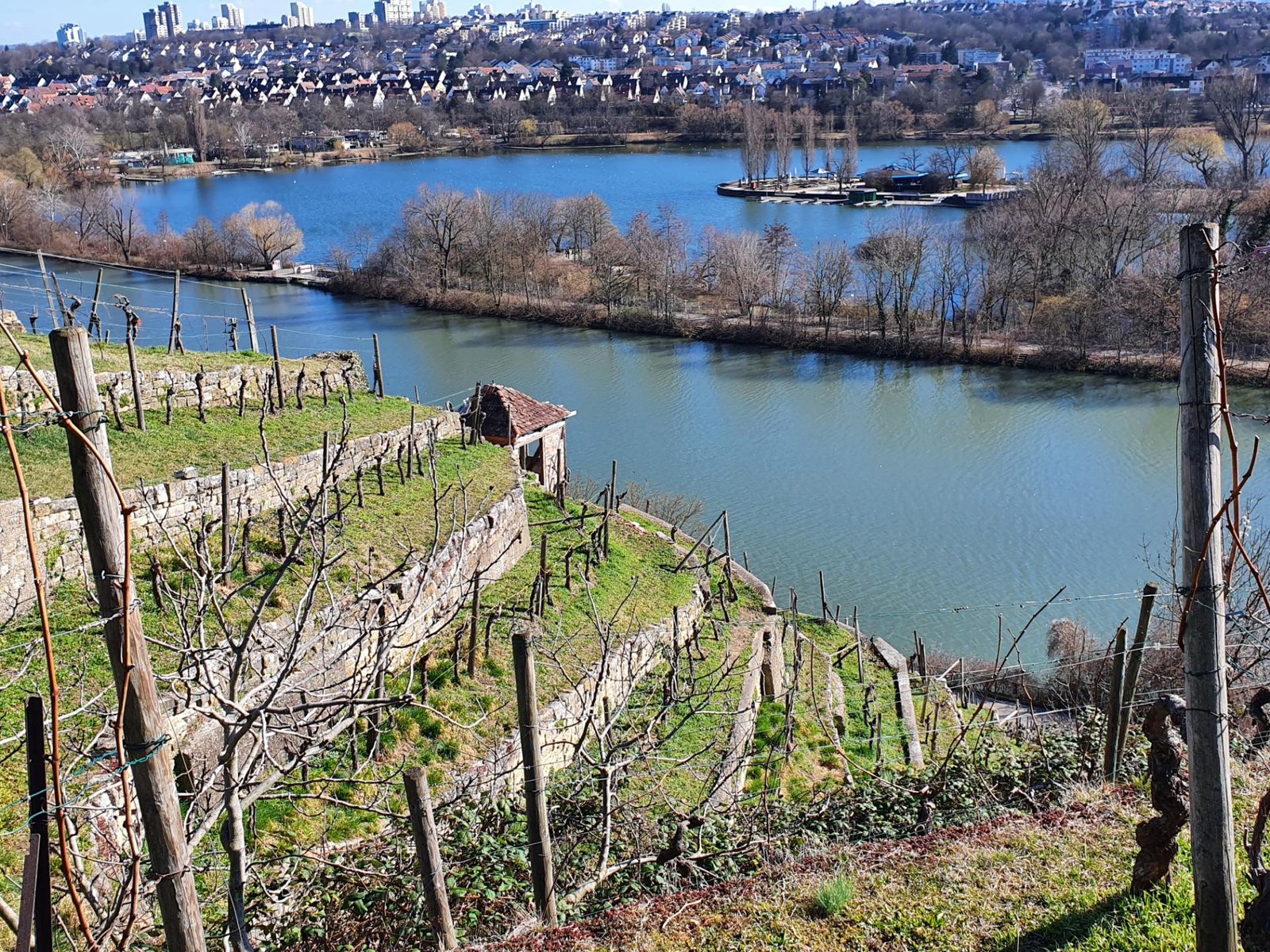 Terraced vineyards above the Neckar river on the Stuttgart wine trail