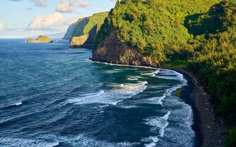 Green sea cliffs and black sand beach on the Big Island of Hawaii