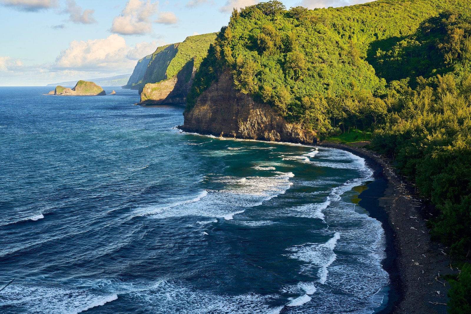 Green sea cliffs and black sand beach on the Big Island of Hawaii