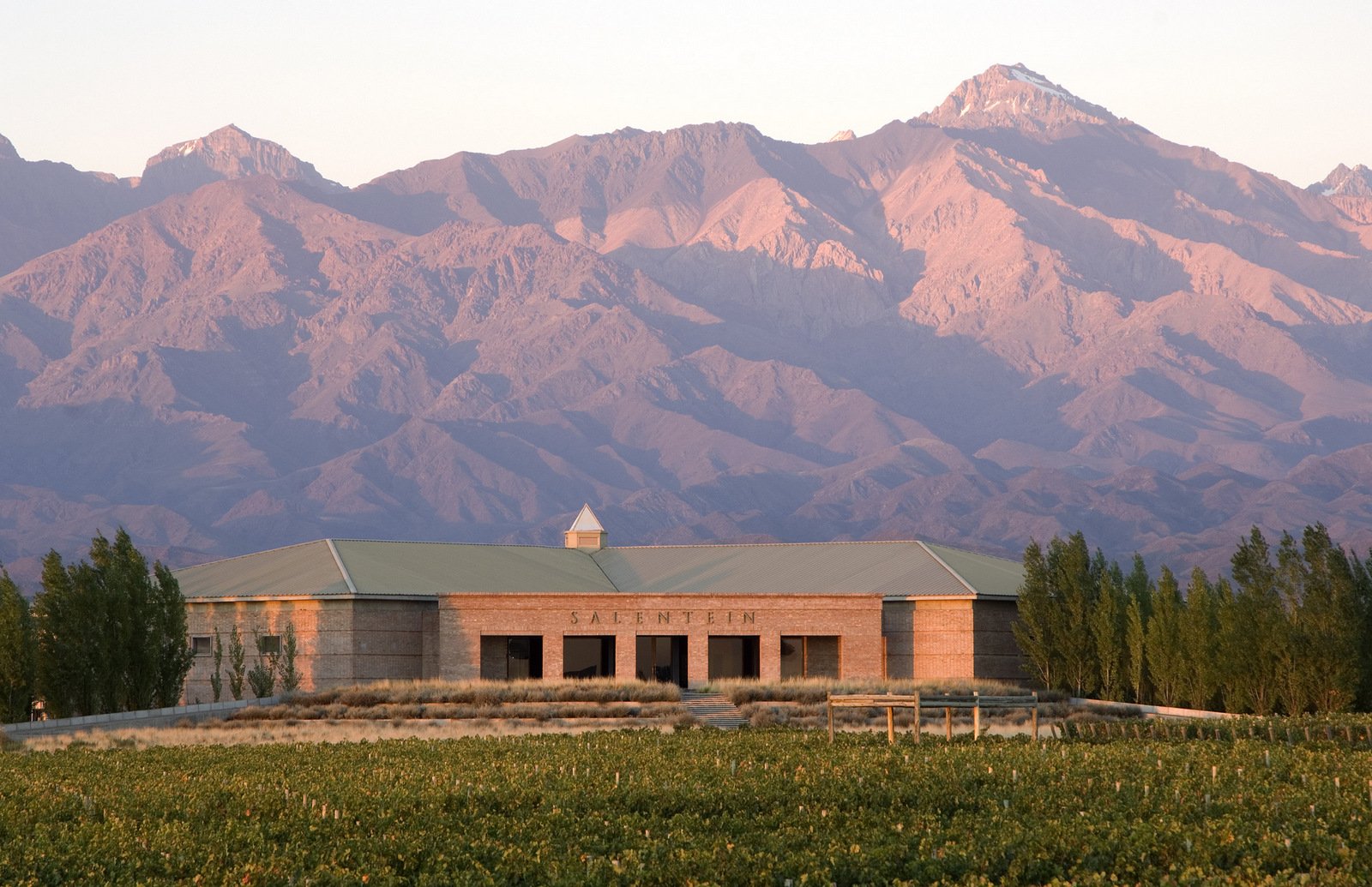 Winery building in a vineyard below the pink-lit Andes in Argentina
