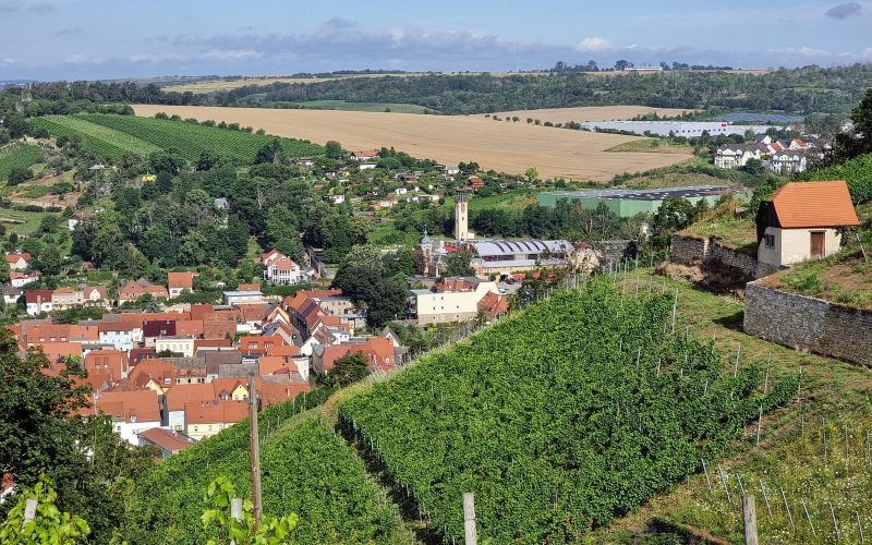 Freyburg red rooftops above terraced vineyards in the Unstrut valley