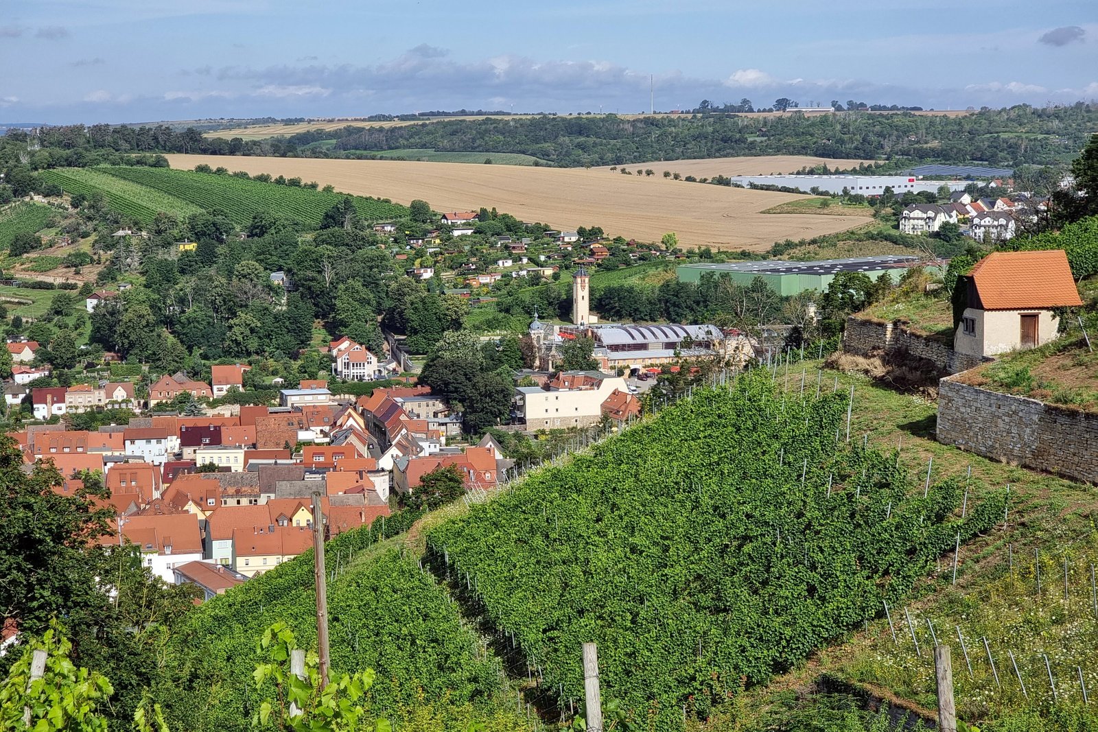 Freyburg red rooftops above terraced vineyards in the Unstrut valley