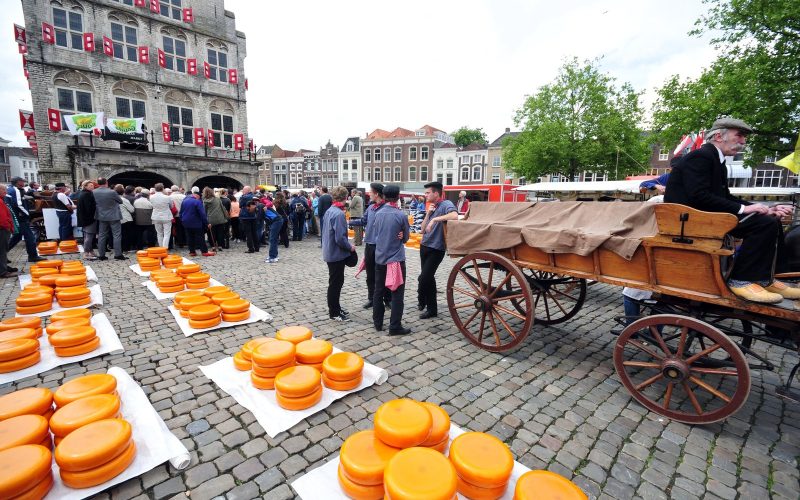Rounds of Gouda cheese laid out on the cobbled market square in front of the town hall