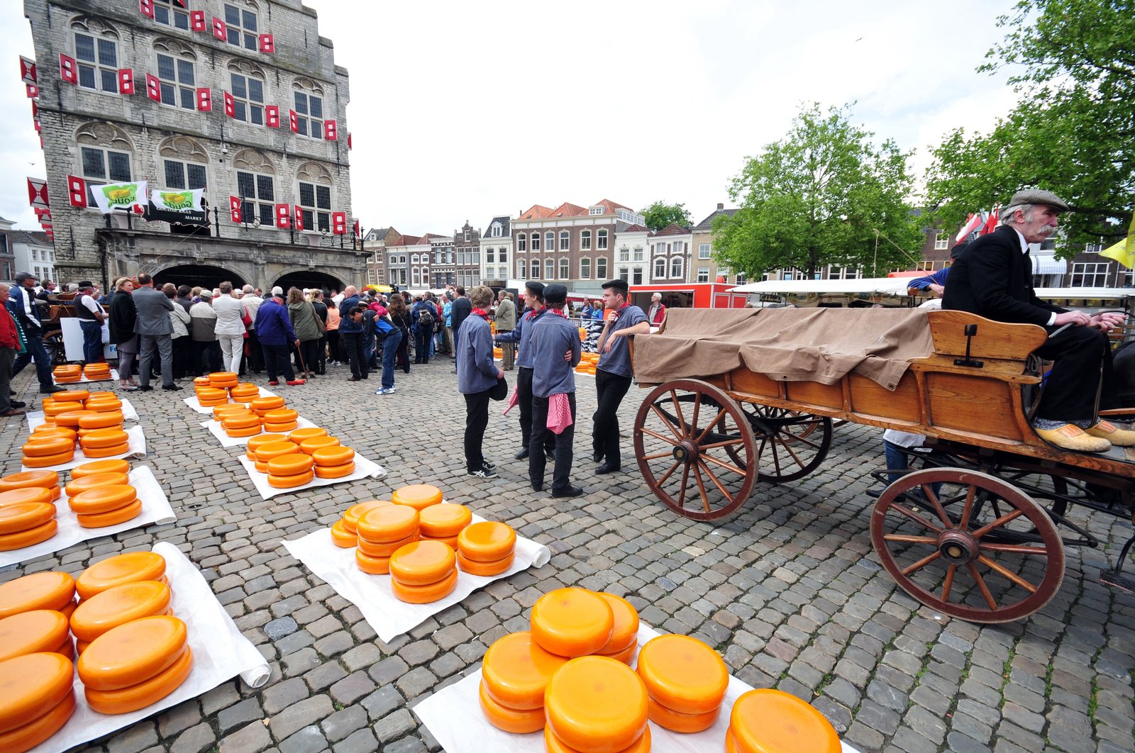 Rounds of Gouda cheese laid out on the cobbled market square in front of the town hall