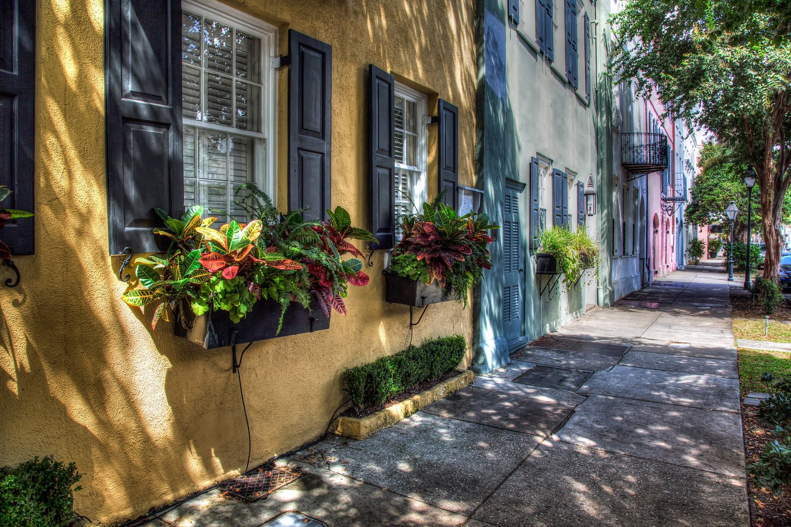 Sunlit pastel houses with flower boxes along Rainbow Row in Charleston