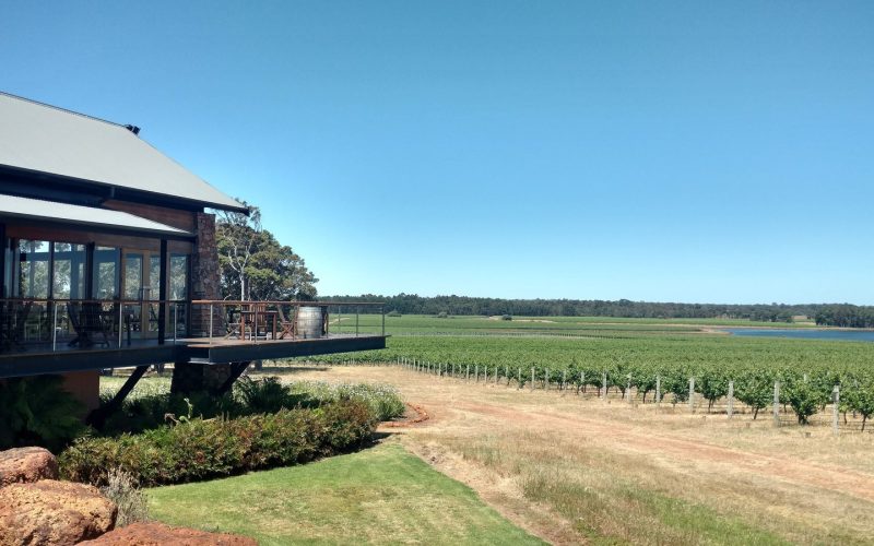 Winery terrace overlooking vineyard rows in Margaret River under a blue sky