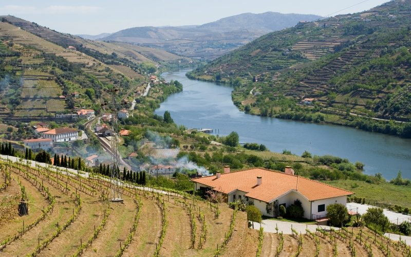 Terraced vineyards above the Douro river in northern Portugal