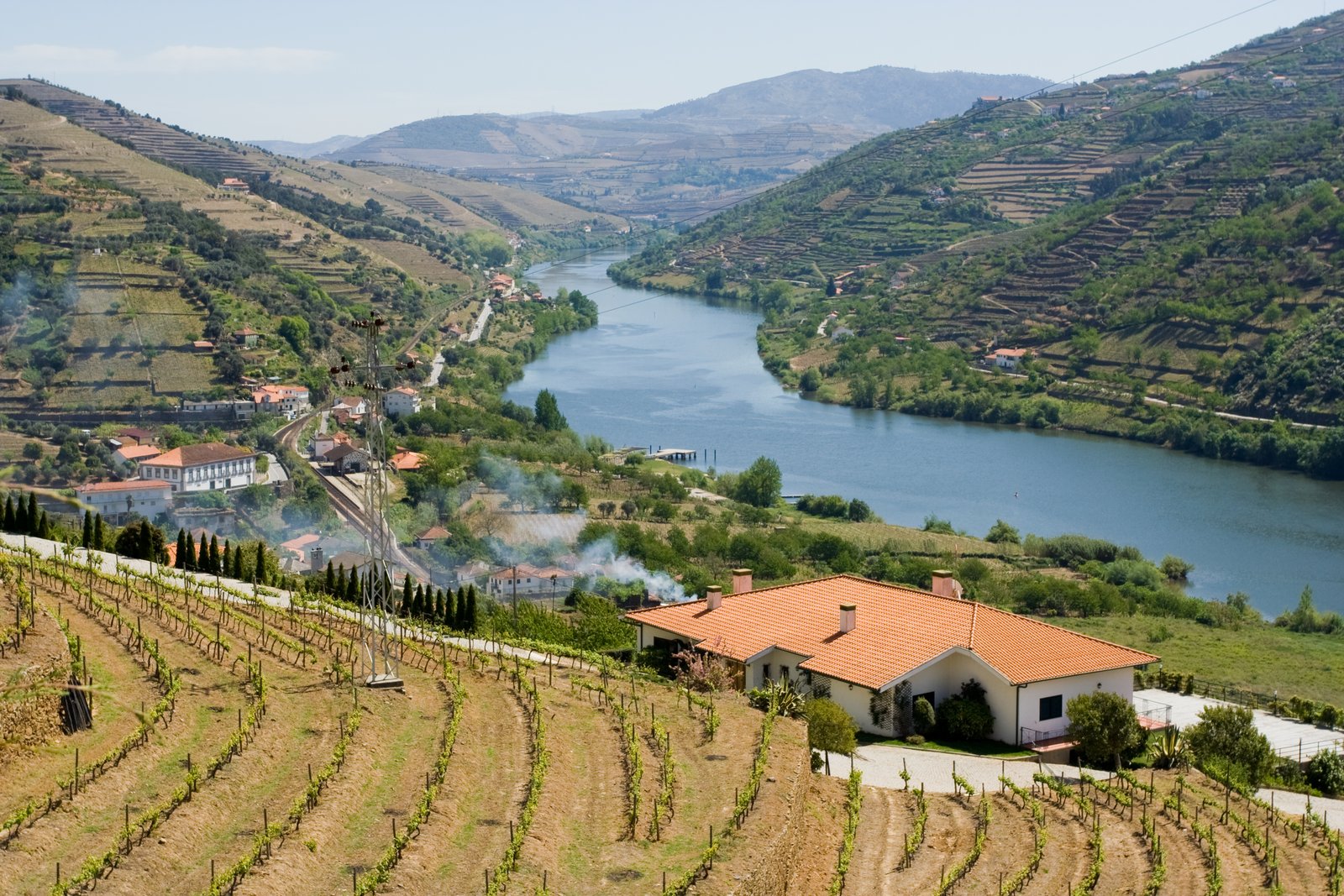 Terraced vineyards above the Douro river in northern Portugal