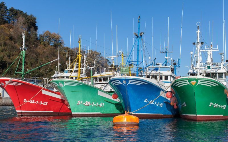 Colourful fishing boats moored in the harbour of Hondarribia in the Basque Country