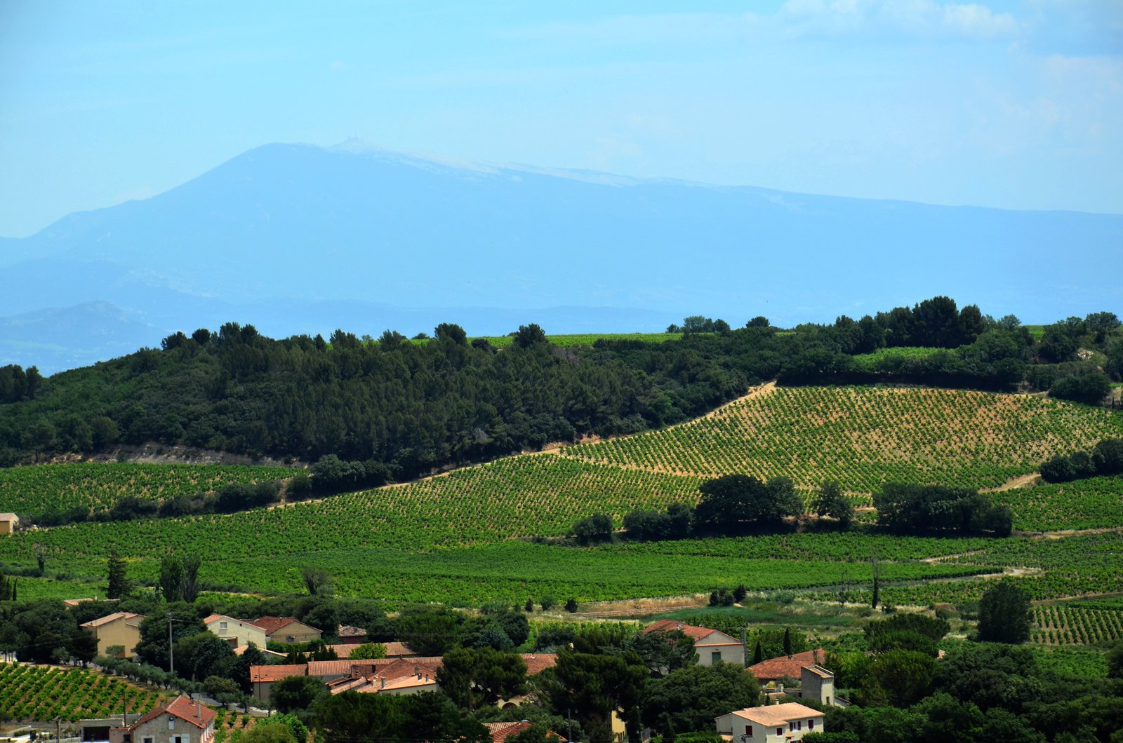 Châteauneuf-du-Pape