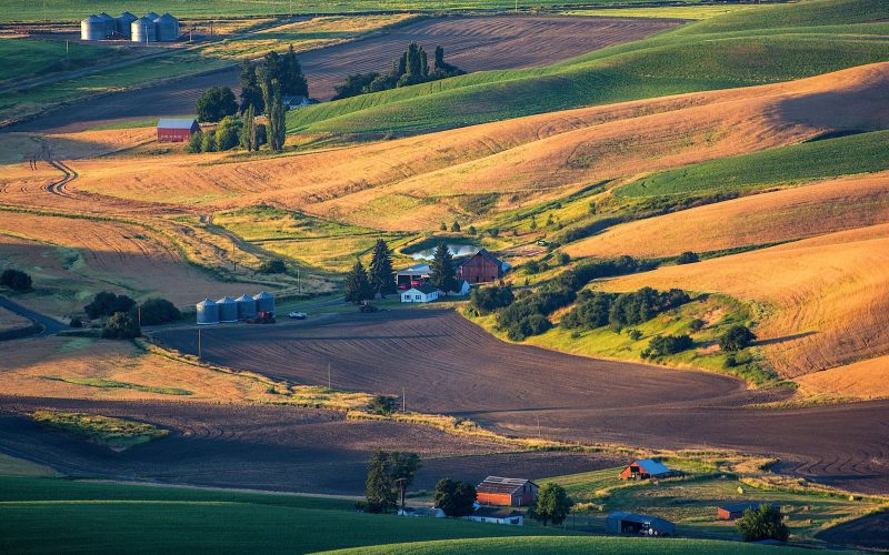 Rolling farmland of the Palouse in the American Northwest