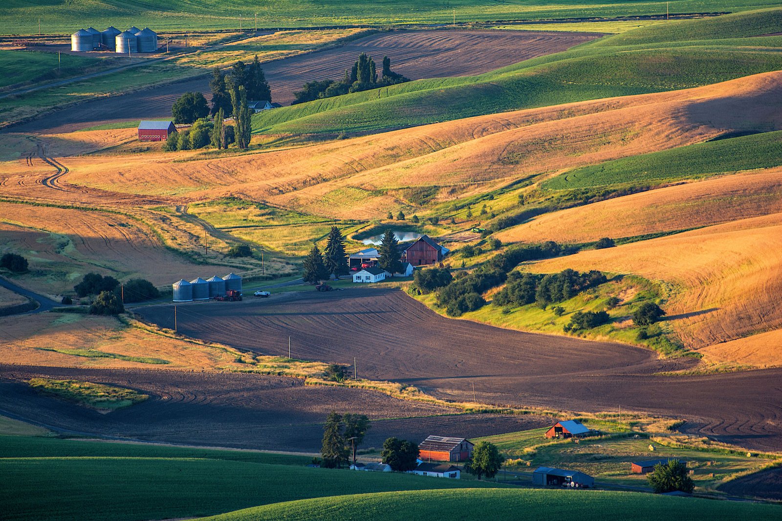 Rolling farmland of the Palouse in the American Northwest