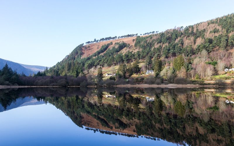 Forested hillside mirrored in the calm Upper Lake at Glendalough in County Wicklow