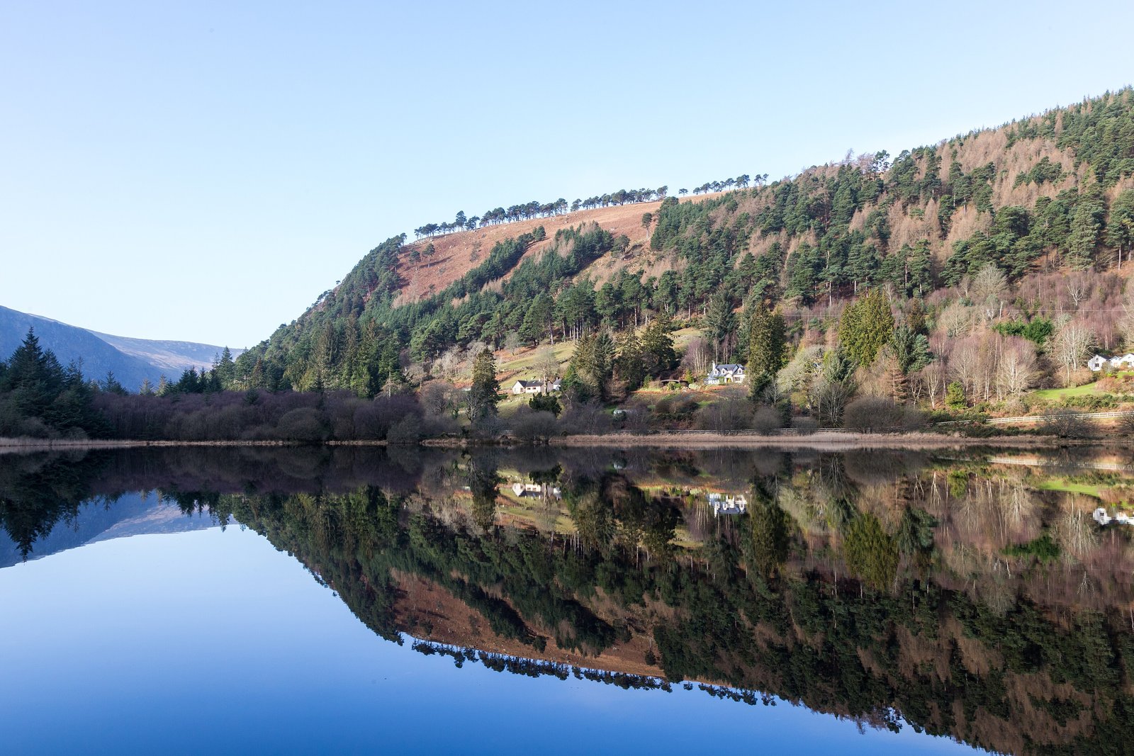 Forested hillside mirrored in the calm Upper Lake at Glendalough in County Wicklow