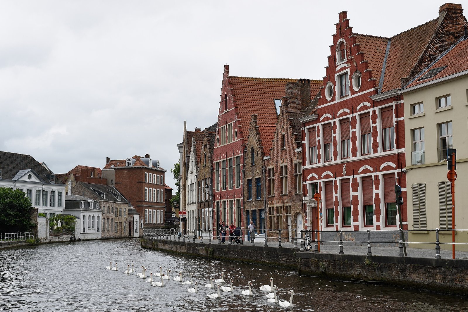 Swans on a canal lined with red-brick gabled houses in Flanders