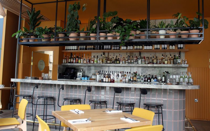 Bright cocktail bar with shelves of bottles and plants in London
