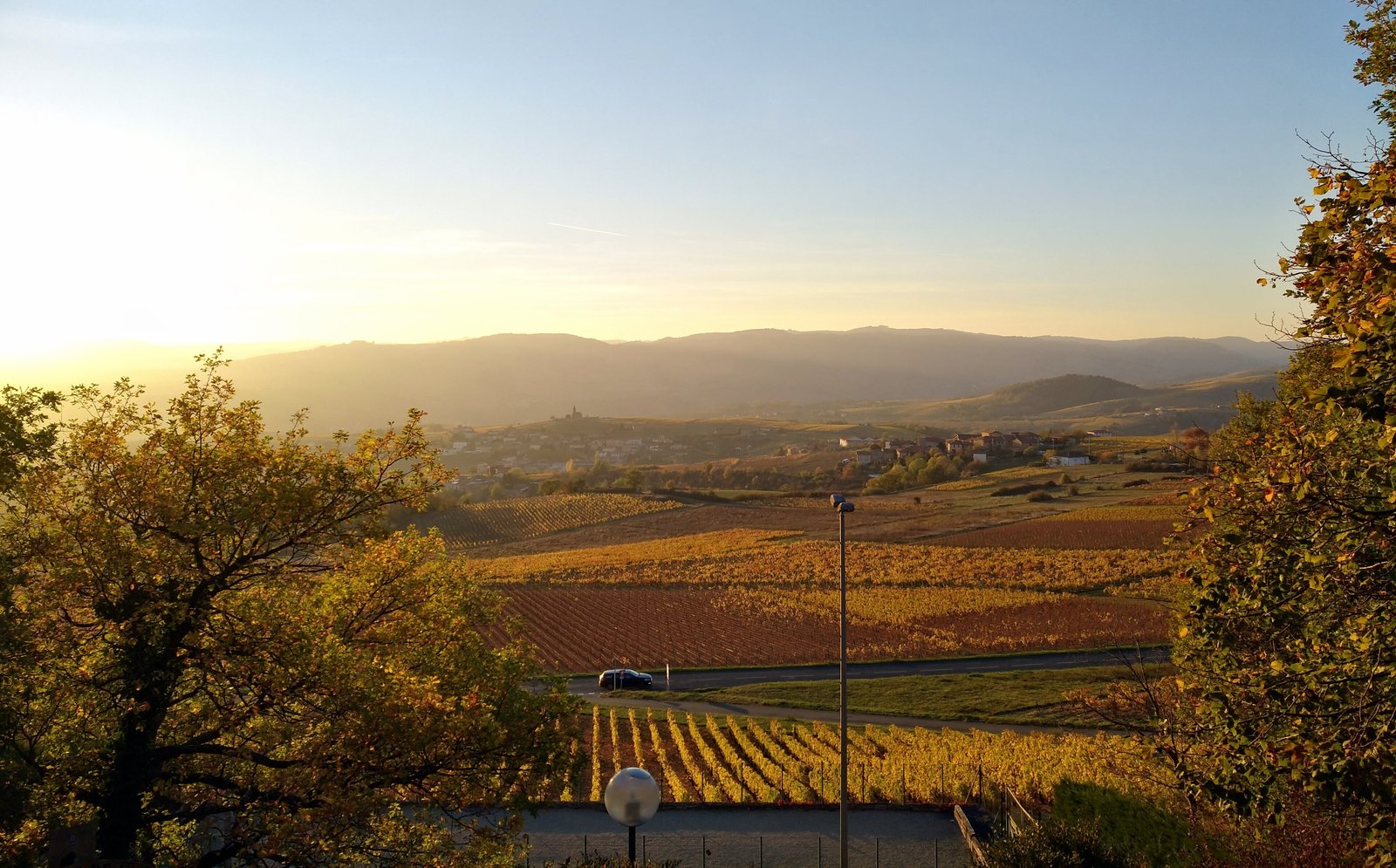 Golden sunset over the Beaujolais vineyards in autumn