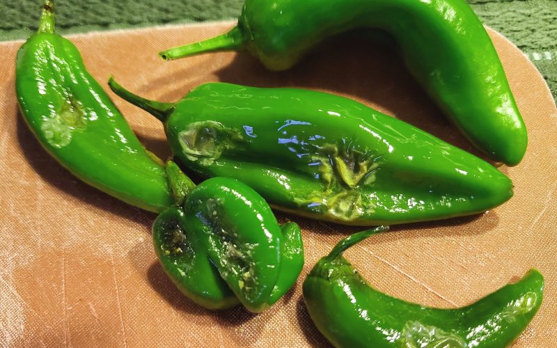 Roasted green Hatch chile peppers