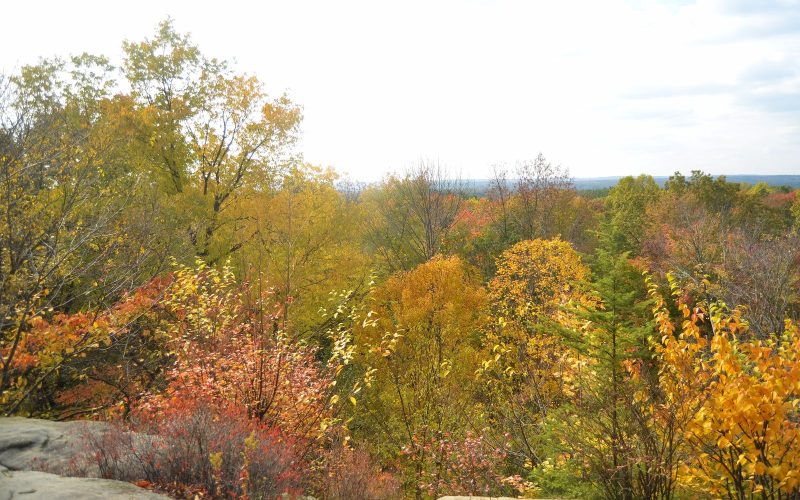 Autumn foliage seen from the ledges of Cuyahoga Valley, Ohio
