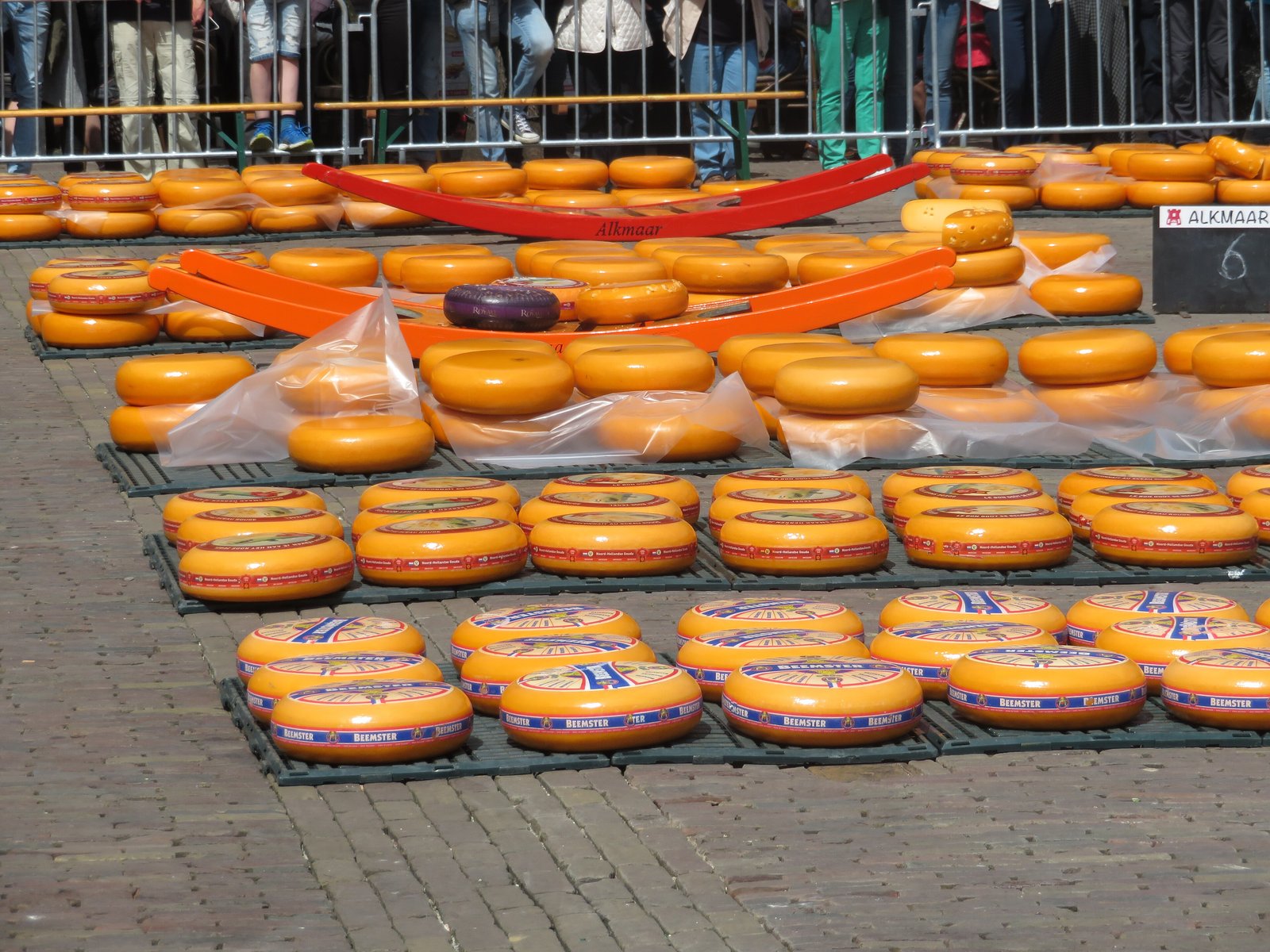 Rows of round cheeses laid out on the square at the Alkmaar cheese market