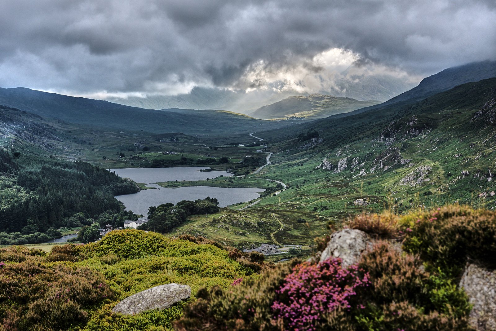 Snowdonia valley with lakes and heather in Wales