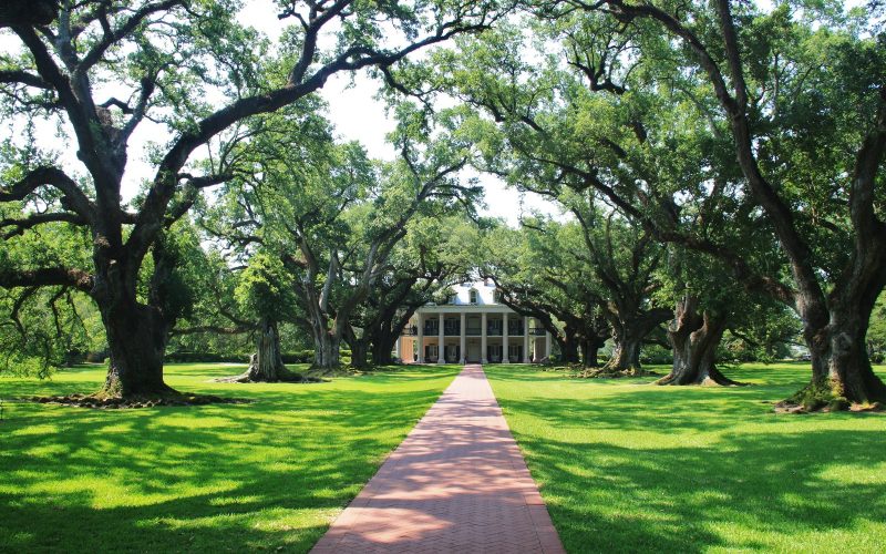 Avenue of live oaks leading to Oak Alley Plantation, Louisiana