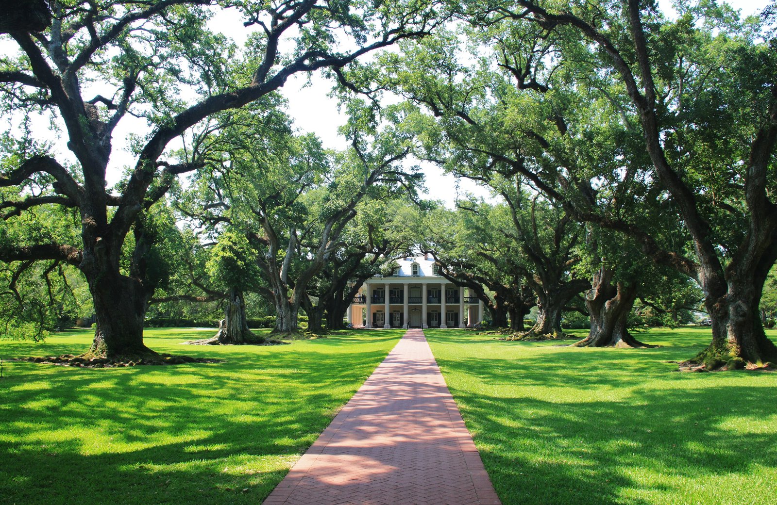 Avenue of live oaks leading to Oak Alley Plantation, Louisiana