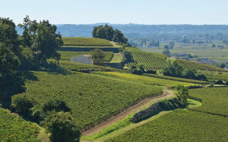 Green vineyard slopes and a winding track around Saint-Émilion in Nouvelle-Aquitaine
