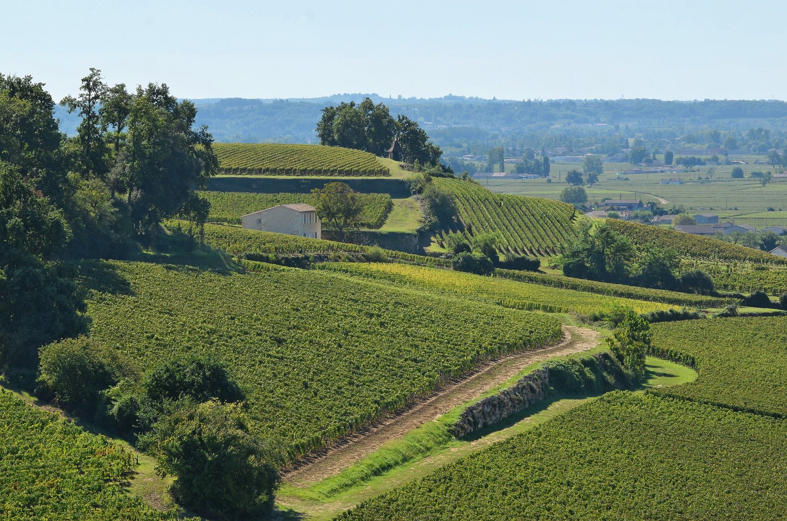 Green vineyard slopes and a winding track around Saint-Émilion in Nouvelle-Aquitaine