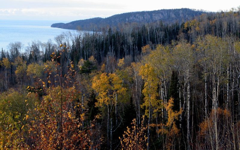 Autumn forest above the North Shore of Lake Superior, Minnesota