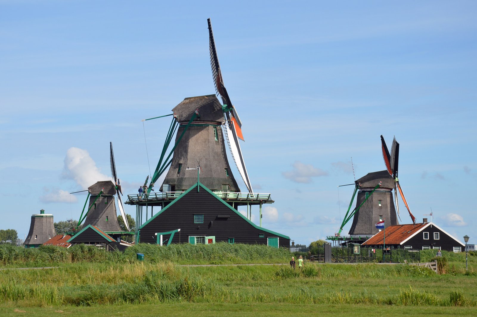 Windmills and green meadow at Zaanse Schans under a blue sky