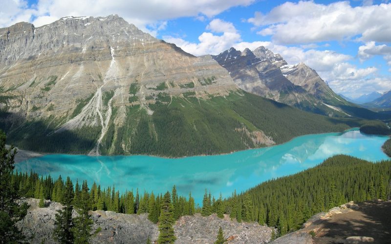 Turquoise Peyto Lake below the Rocky Mountains in Banff National Park